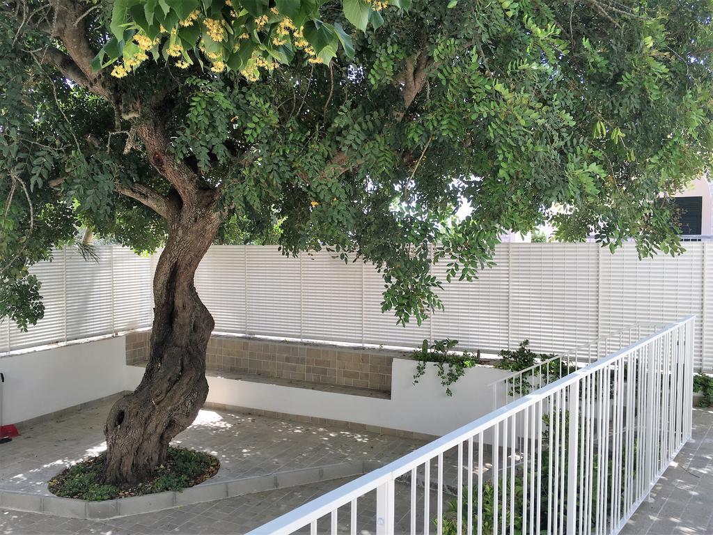 Le Case Di Ada Villa Santa Cesarea Terme Buitenkant foto